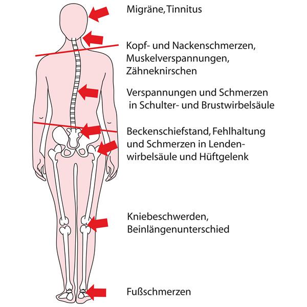 Kiefer & Kiefergelenke